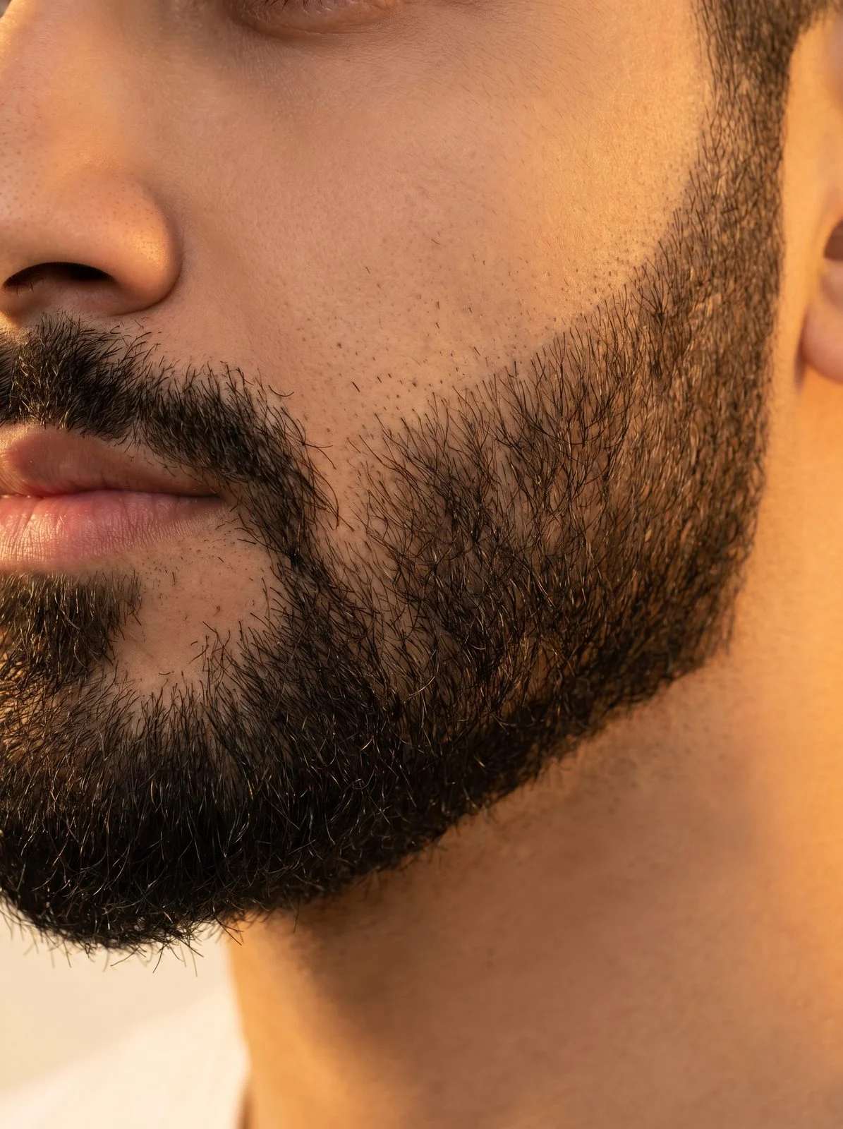 Beard Trim